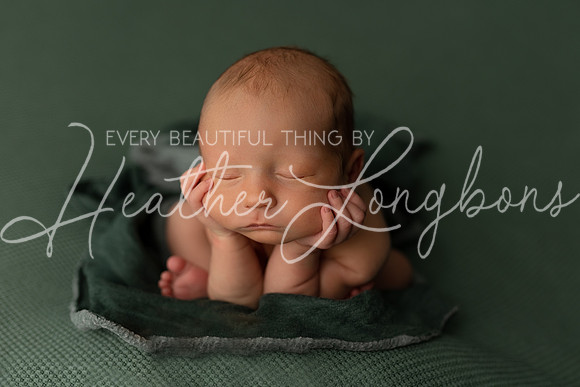 Hudson Newborn-1