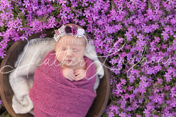 Finley Newborn-12