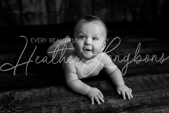 Deacon 6 months-81BW