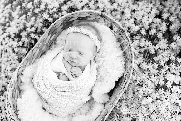 Ivory Newborn-21BW