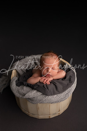 Maddux Newborn-6