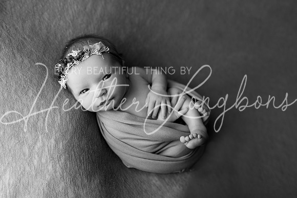 Ivory Newborn-15BW