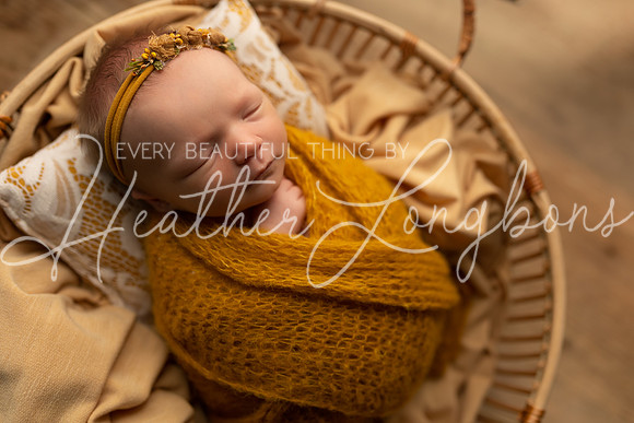 Ivory Newborn-13