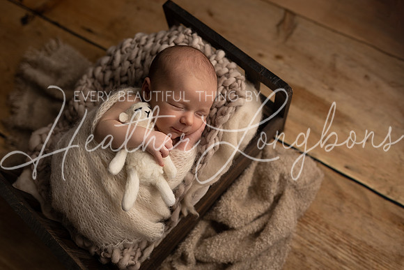 Ari Newborn-10