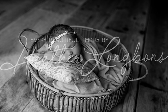 Ivory Newborn-24BW