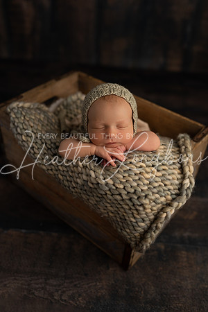 Hudson Newborn-4