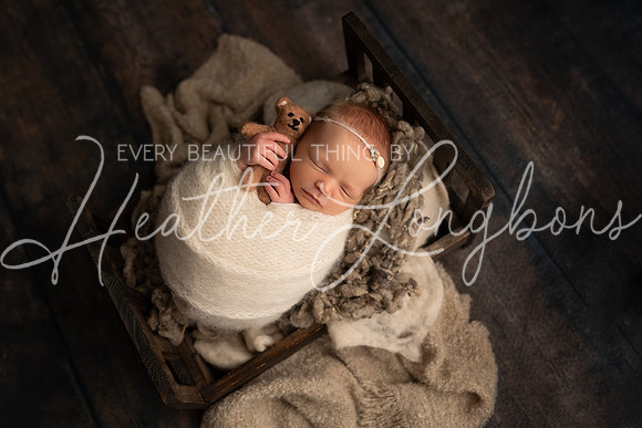 Ivory Newborn-11
