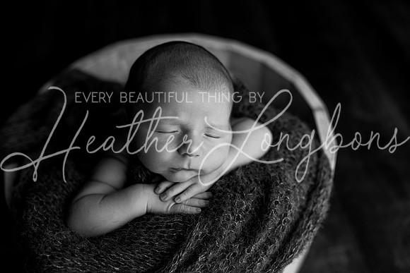 Ari Newborn-7BW