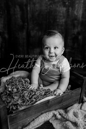 Deacon 6 months-51BW