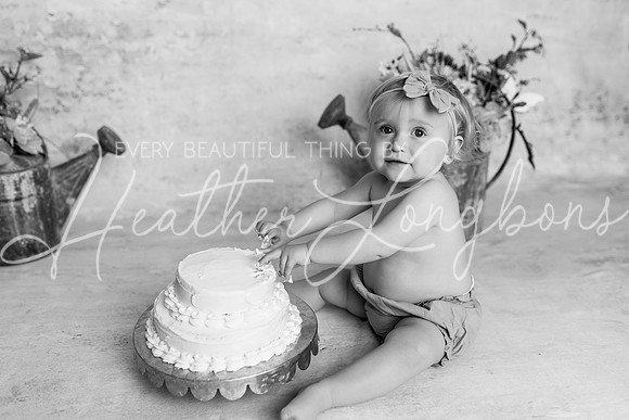 Colbie One Year-2BW