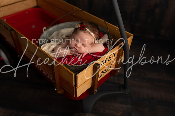 Gwen Newborn-7