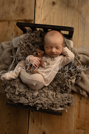 Hudson Newborn-8