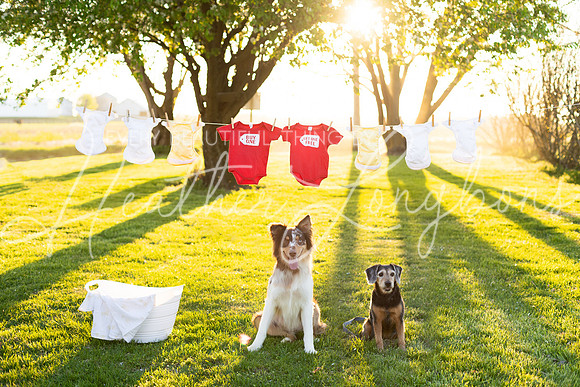 Miller Baby 2 Announcement-1