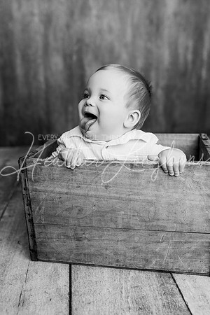 Bennett Webb One Year BW-6