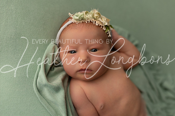 Finley Newborn-1