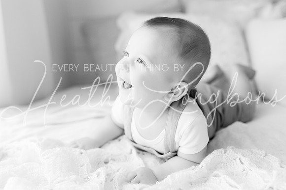 Deacon 6 months-18BW
