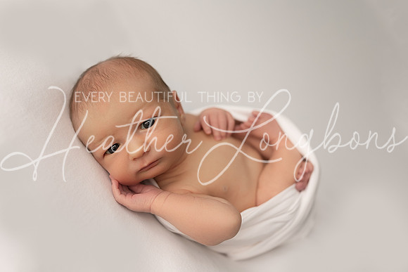 Hudson Newborn-15