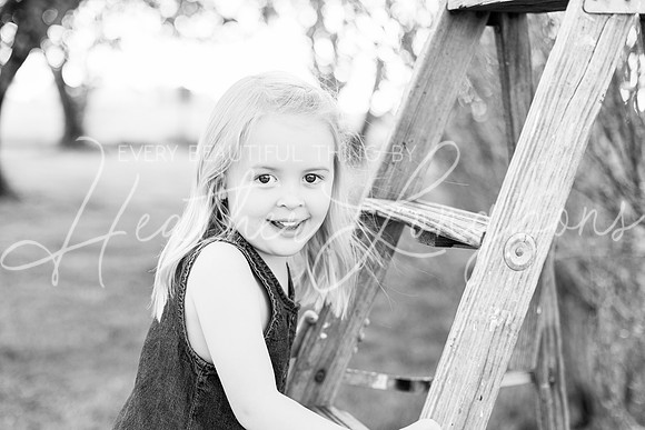 Westbrook family-8BW