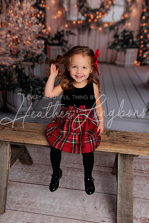 Christmas 2024 Taylors-12