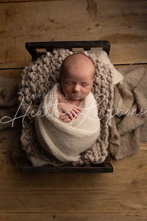 Ari Newborn-8