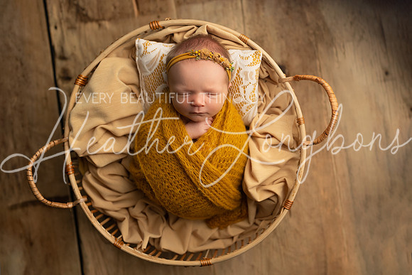 Ivory Newborn-12