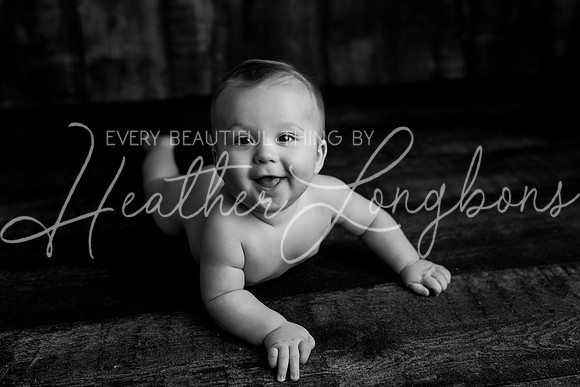 Deacon 6 months-78BW