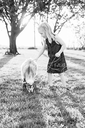 Westbrook family-79BW