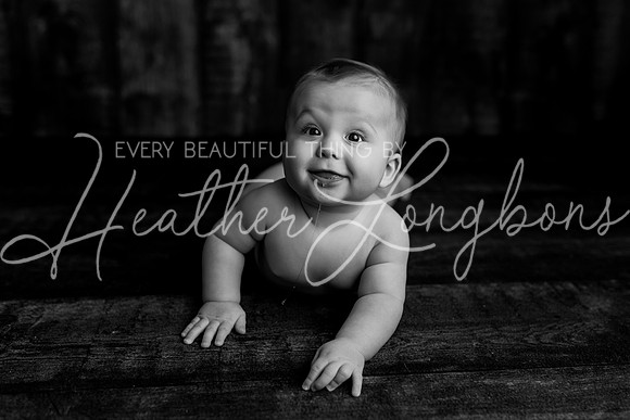 Deacon 6 months-86BW