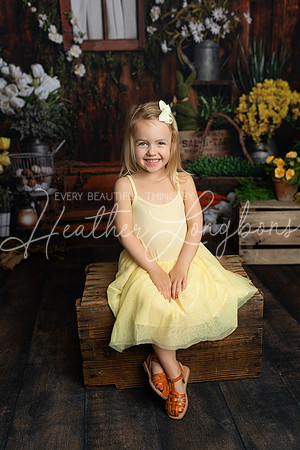 Spring Minis Lee-4