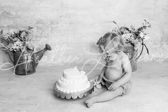 Colbie One Year-5BW