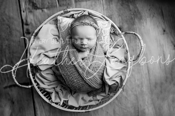 Ivory Newborn-12BW