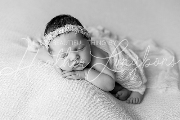 Gwen Newborn-6BW