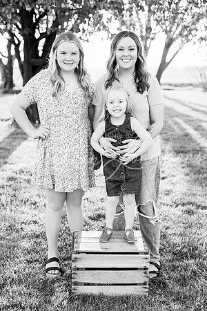 Westbrook family-16BW