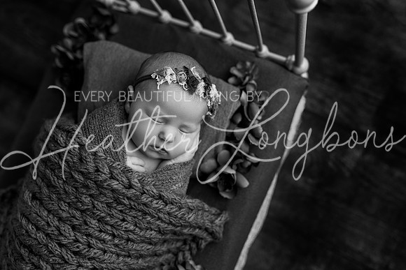 Finley Newborn-7BW