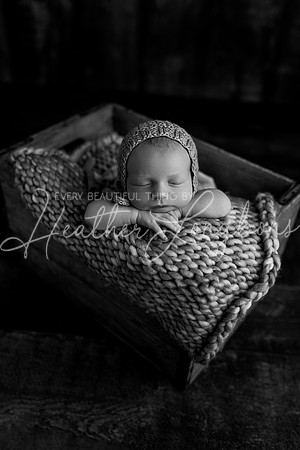 Hudson Newborn-4BW