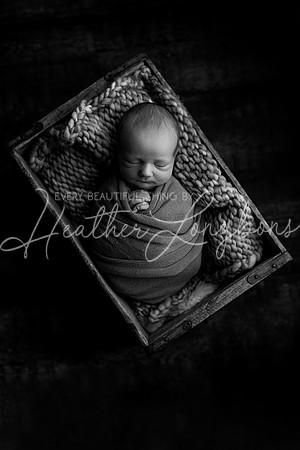 Hudson Newborn-5BW
