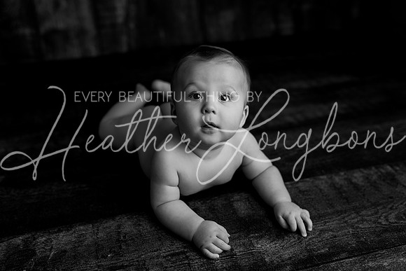 Deacon 6 months-84BW