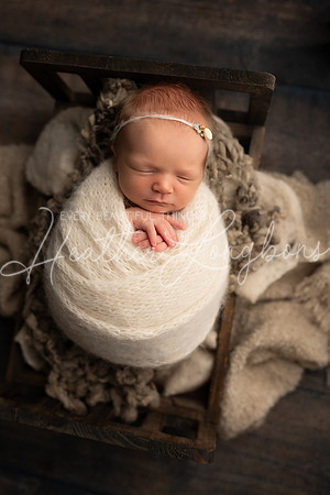 Ivory Newborn-23