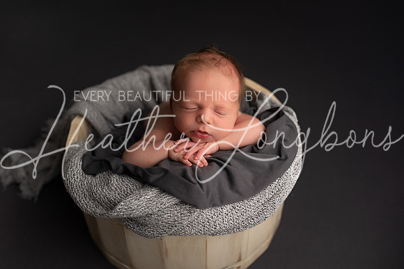 Maddux Newborn-7