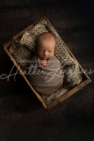 Hudson Newborn-5