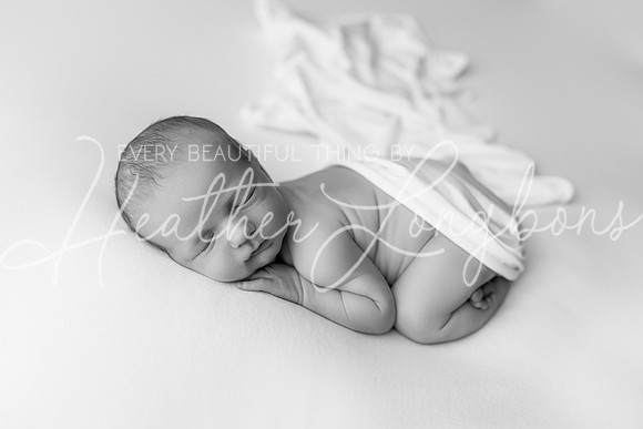 Hudson Newborn-17BW
