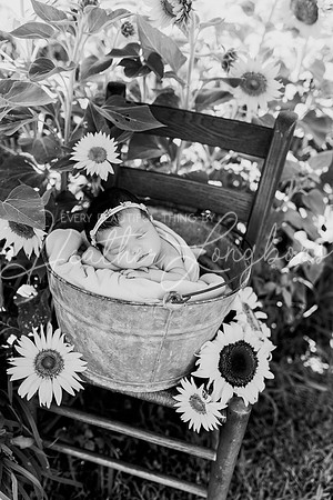Emery Newborn-100BW