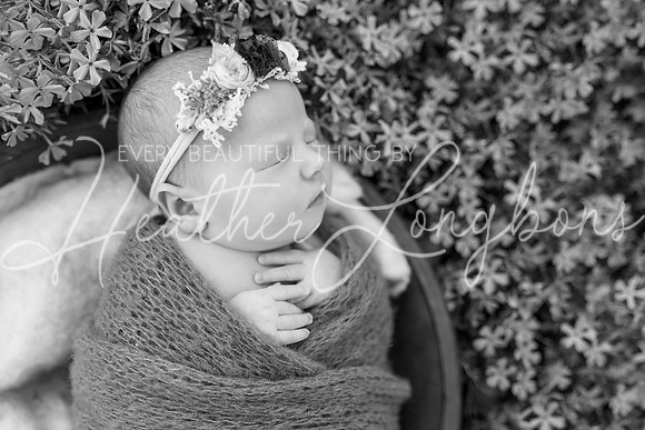 Finley Newborn-11BW