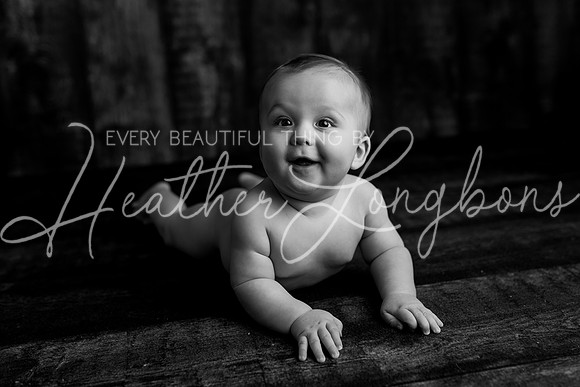 Deacon 6 months-79BW