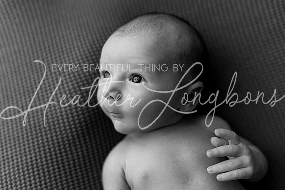 Ari Newborn-13BW