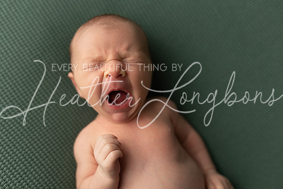 Ari Newborn-1