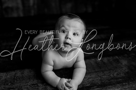 Deacon 6 months-88BW