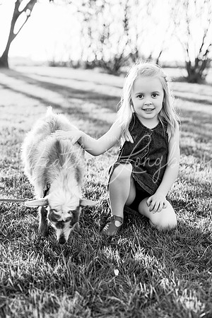 Westbrook family-77BW