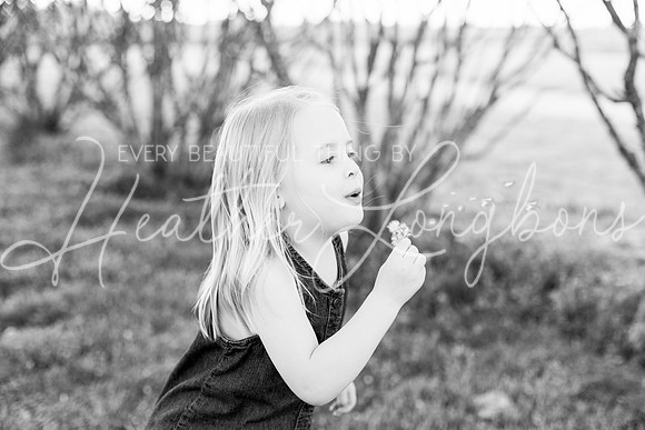 Westbrook family-4BW