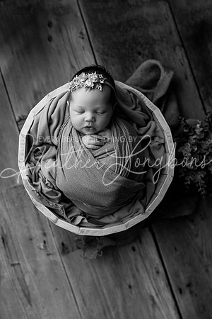 Gwen Newborn-9BW